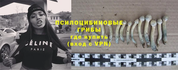 хмурый Ельня