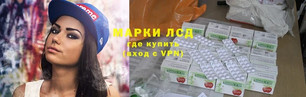 хмурый Ельня
