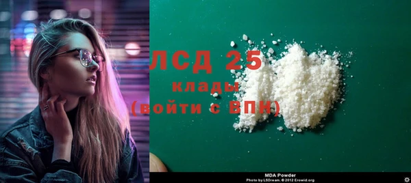 хмурый Ельня