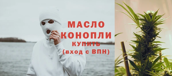 хмурый Ельня