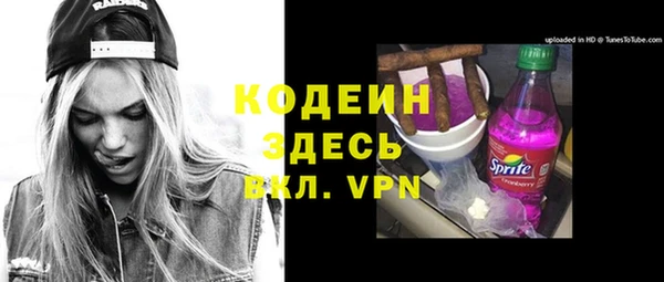 хмурый Ельня