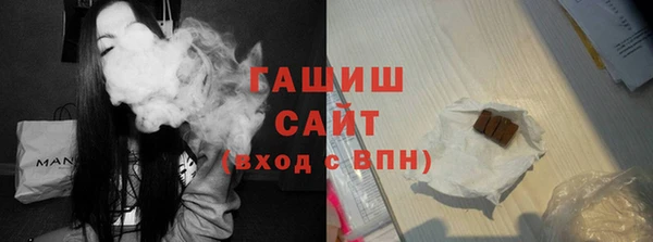 хмурый Ельня
