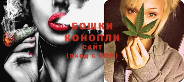 хмурый Ельня