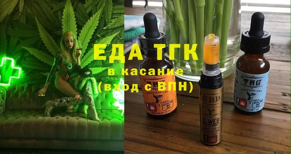 хмурый Ельня