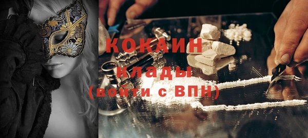 хмурый Ельня