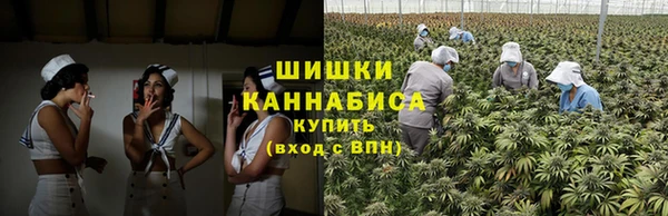 хмурый Ельня