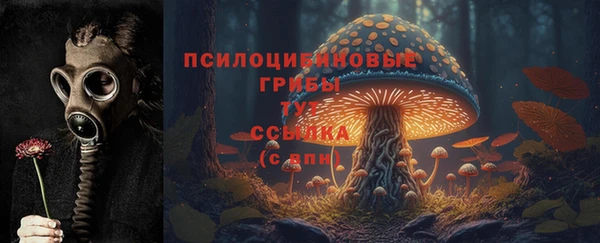 хмурый Ельня