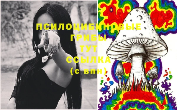хмурый Ельня