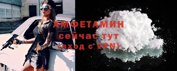 хмурый Ельня