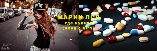 хмурый Ельня