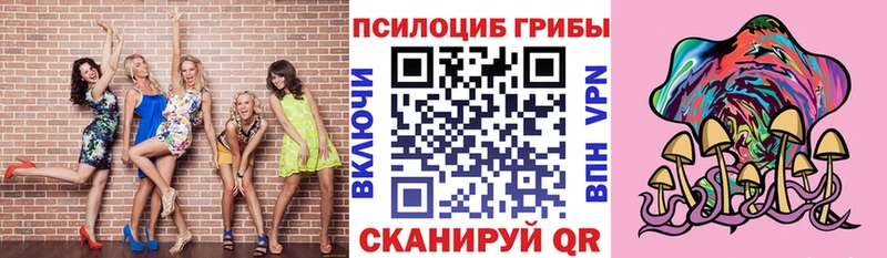 Псилоцибиновые грибы GOLDEN TEACHER  Купить где  Межгорье 