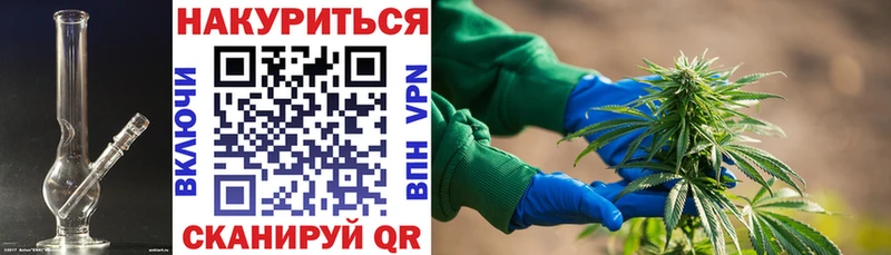 Купить закладки Межгорье Шишки марихуана сатива